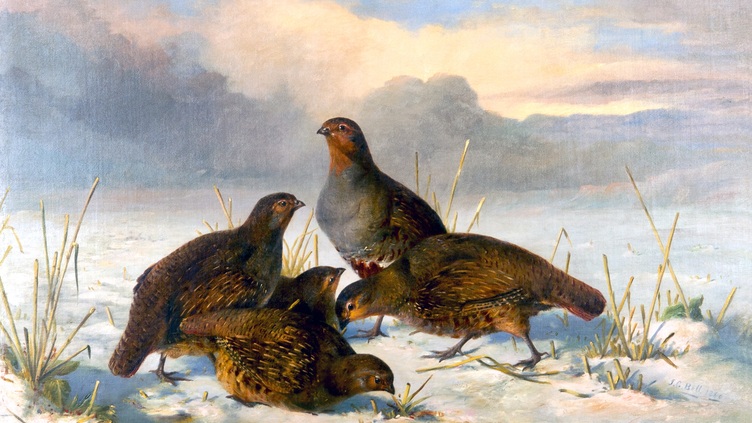 A painting of four brown partridges standing and pecking on snowy ground with sparse yellow grass, under a sky with clouds at sunrise or sunset.