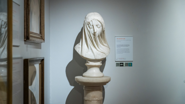 A marble bust sculpture of a woman with a veil over her face is displayed on a pedestal in a museum, with informational signage on the wall in the background.
