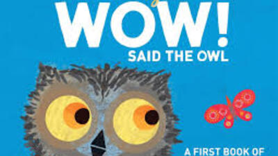 Illustrated book cover titled "Wow! Said the Owl" by Tim Hopgood. Features a stylized owl with large yellow eyes against a blue background and a small red butterfly. The subtitle reads, "A First Book of Colours.