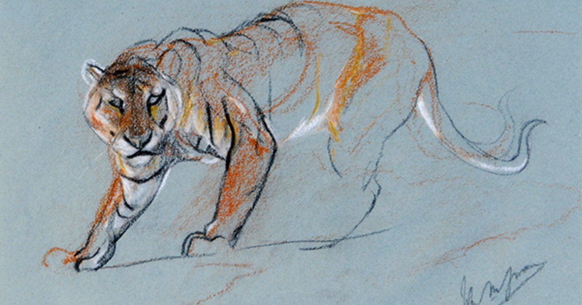 Drawing and Sketching | Cooper Gallery Drawing and Sketching | Cooper Gallery