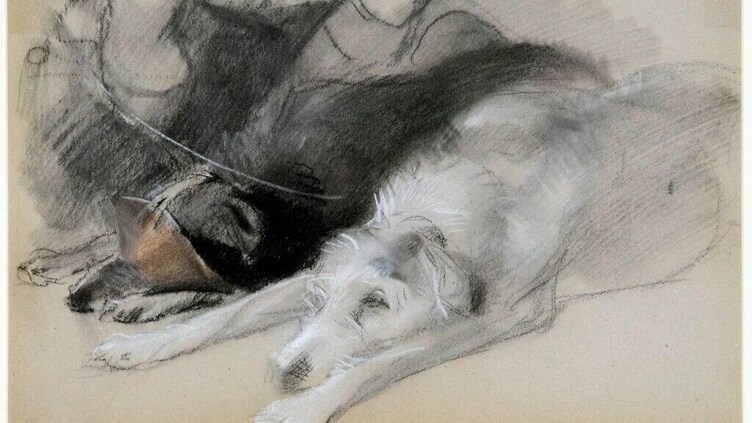 A sketch of two dogs lying down side by side; one dark-colored dog resting its head on its paws and a lighter-colored, shaggy dog beside it, both appearing relaxed. The drawing has a soft, unfinished look.